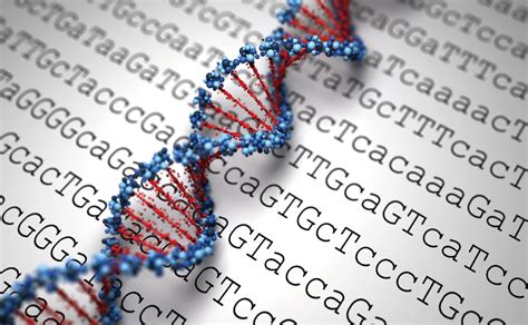 基因、染色体、蛋白质、DNA、RNA 之间的关系是什么？ - 知乎