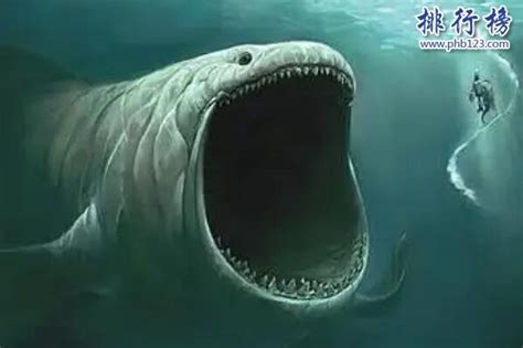 世界上三大海怪-利维坦榜上有名(通常被描述为鲸)-排行榜123网