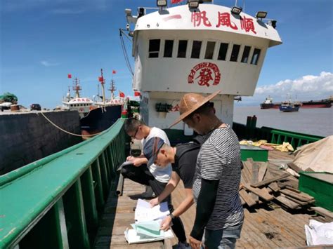 温州异地挂靠渔船整治显成效-温州网政务频道-温州网