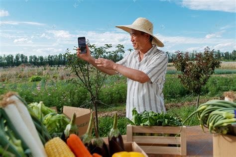 焦点|直播助农:乡村振兴和网络扶贫融合发展的农村电商新模式_农产品_分析_直播