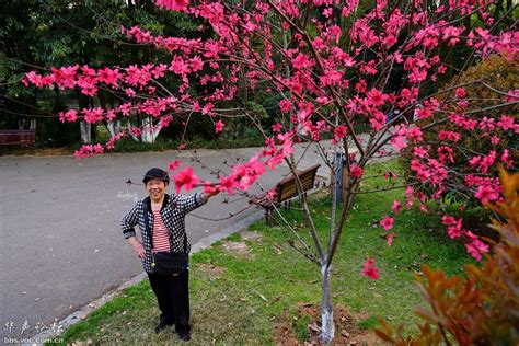 上海天安千树花境设计-上海半亩茗园景观设计有限公司