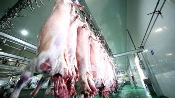 牛羊肉屠宰分割剔骨线-食品机械设备网