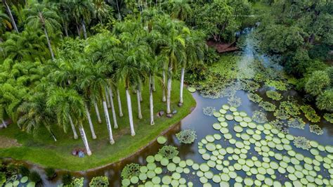 中科院西双版纳热带植物园，夏日灿烂星河萤火之旅_人们