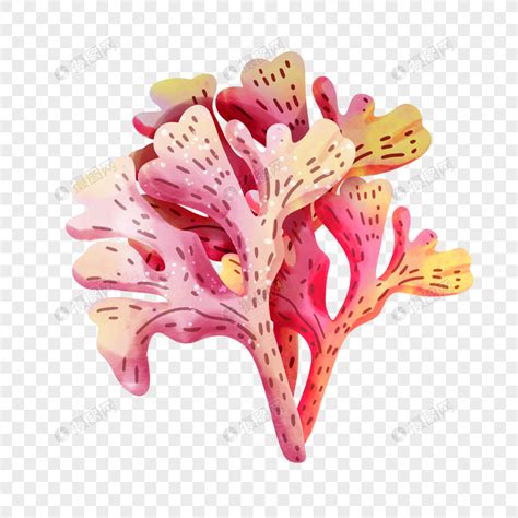 粉色珊瑚是什么样的-珠宝知识-金投珠宝-金投网