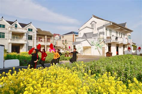 城事 _ 【新时代新作为新篇章】有颜值更有气质，这里的“美丽庭院”覆盖339个村