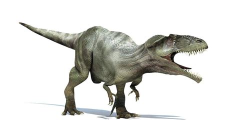 恐龙存在有 1 亿 7 千万年，为何没有进化成高等智慧生物？ - 知乎