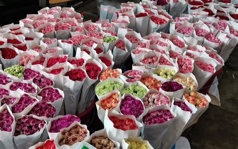 逛遍北京这个鲜花市场，淘花送花攻略全在这里了！|花市|鲜花|王四营_新浪网