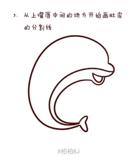 海豚动物简笔画图片