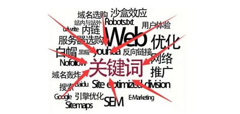 免费的seo网站有哪些（5个免费的seo关键词工具）- 丰胸知识百科网