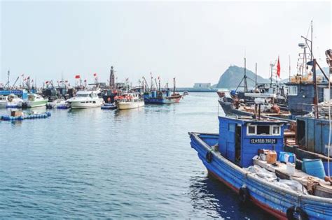 2018年中国海鲜进口激增44%，中国市场前景引全球瞩目__财经头条