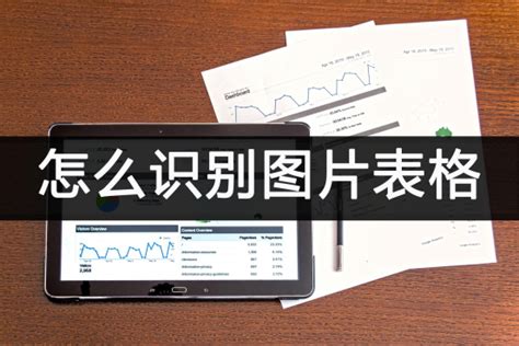 提取表格图片