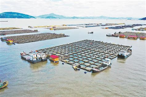 宁德：海上养殖低碳转型_福建新闻_新闻频道_福州新闻网