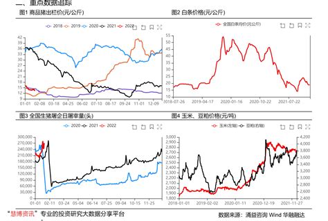 中国股市：“尾盘跳水”透露了什么信号？不知情的散户还满仓抄底 - 知乎