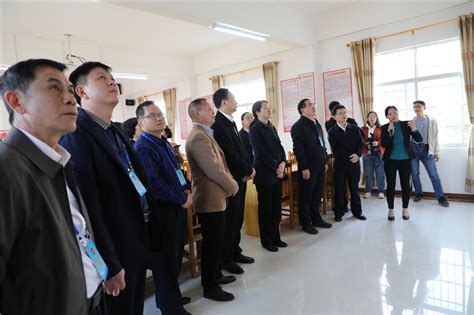 部分驻桂全国人大代表赴钦州开展视察活动 -文章页