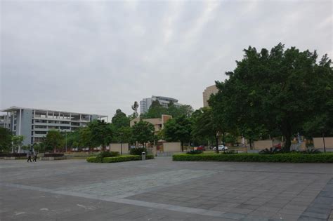 柳东校区-广西科技大学