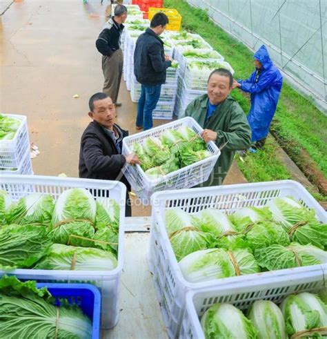 江西吉安：农产品驰援上海-人民图片网