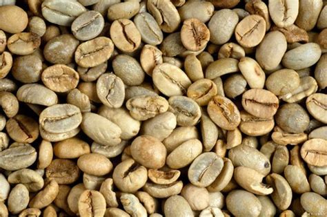 咖啡豆烘焙大全 八种咖啡烘焙度对照表与区别 中度烘焙和深度烘焙的区别 中国咖啡网