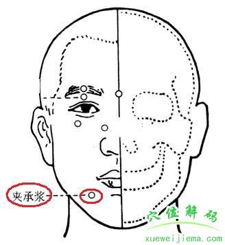 承浆的准确位置图图片 承浆的准确位置图图片