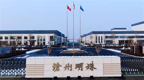 沧州明珠对子公司增资1.8亿元，加码电池隔膜布局