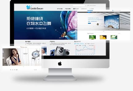 雪蓉网络服务中心-南充网站建设-瞻瞩世纪南充服务中心