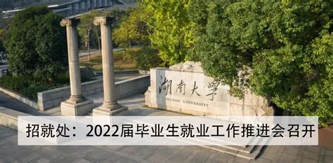 湖南大学就业信息网