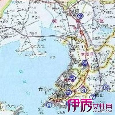 2021年青岛行政区划（青岛行政区域划分）_玉环网