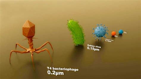 病毒与细菌的微观世界概念背景插画图片素材下载_jpg格式_熊猫办公