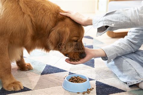 广西玉林狗肉节直播:动保越闹越吃 狗肉已涨价--北京频道--人民网