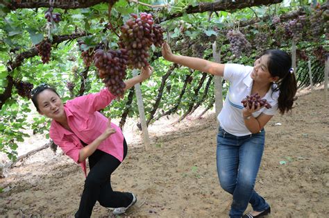 张家口涿鹿：温泉屯村民在丁玲纪念馆读书_张家口新闻网