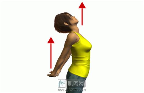 胸部塑形：3个部位6个动作让你的胸部更挺拔