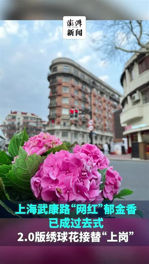 上海抖音网红景点:城隍庙 上海老街 田子坊上榜 你都去过吗？ - 热门景点