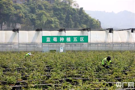 今日金沙河丨我站在被你守护的地方！_生产线_车间_基建