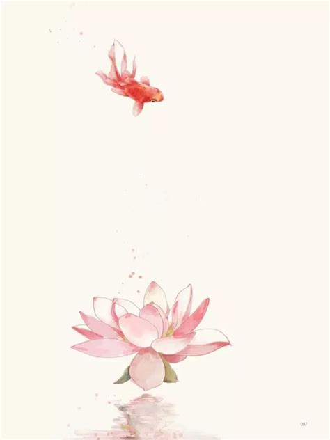 锦鲤抄图片