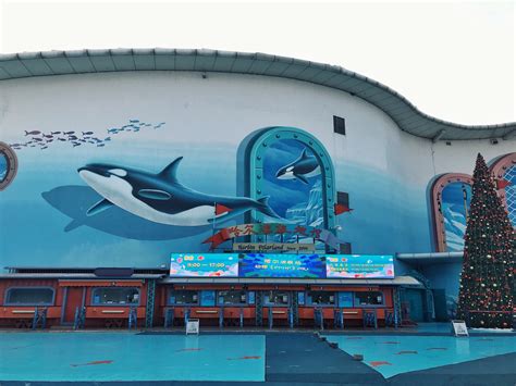 青岛海昌极地海洋公园将于3月27日恢复开园 - 综合 - 中国网•东海资讯