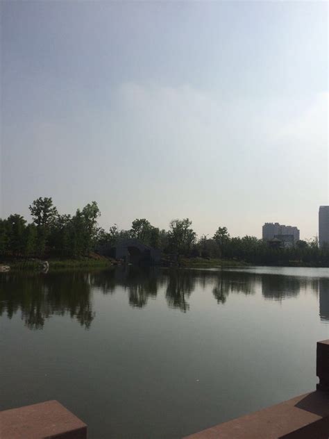 2022颍上县江心洲滨河公园游玩攻略,环境很好，而且是免费的，周... 【去哪儿攻略】