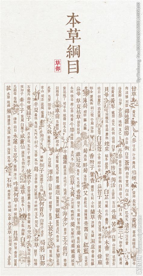 本草纲目图片