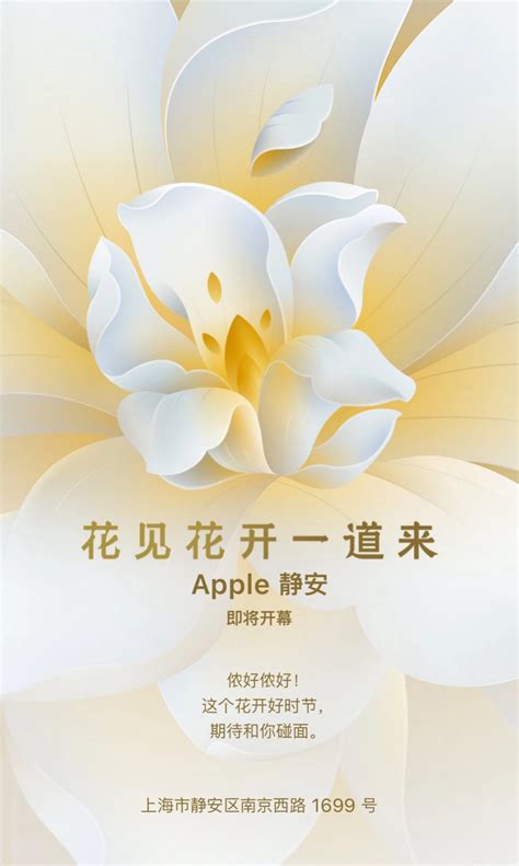 探访苹果Apple Store上海静安店，筹备团队超150人 - 经济观察网 － 专业财经新闻网站