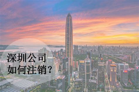 在深圳开公司可以申请深户吗?(在深圳注册了公司能落户吗) - 岁税无忧科技