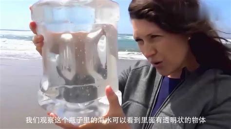 海水为什么是咸的？_海洋科普_门户网站