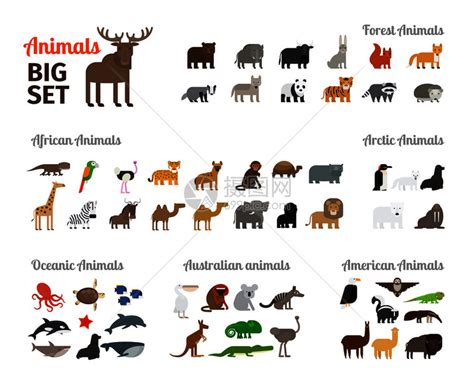 不同大陆的森林动物矢量板动物插画图片下载-正版图片302697740-摄图网