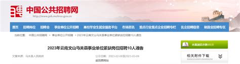 2023年云南文山学院第二批公开招聘人员11名公告（7月17日9:00起报名）