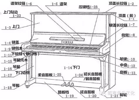 钢琴内部构造特写mp4格式视频下载_正版视频编号695624-摄图网
