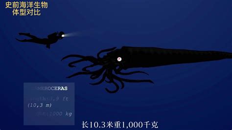 中国科学家在琥珀中发现史前海洋动物“菊石”|南国早报网-广西主流都市新闻门户