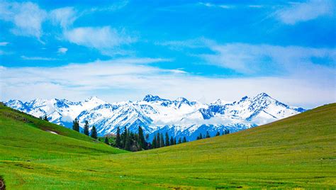 风光摄影：美丽的伊犁大草原，蓝天白云，作为手机壁纸真漂亮|伊犁大草原|风光摄影|蓝天_新浪新闻