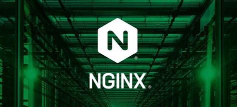 【深入浅出Nginx系列】Nginx入门？看这一篇就够了（实战篇）_深入浅出nginx实战-CSDN博客