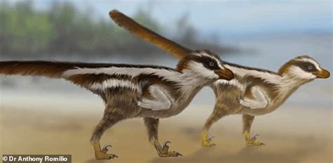韩国发现世界上最小的恐龙足印化石 推测身形仅如麻雀大小 - 神秘的地球 科学|自然|地理|探索