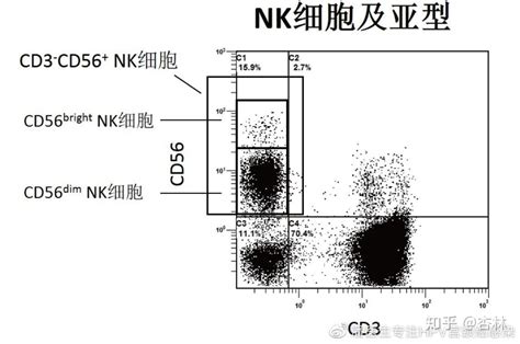 前沿：NK细胞疗法进展_Cell_临床_bright