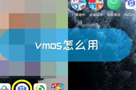 什么是VMOS - 早若网