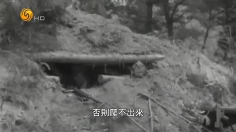 上甘岭战役老照片：战死的美军横七竖八躺在地上，炮弹壳堆积成山