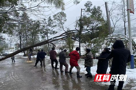 “以雪为令、闻雪而动” 芦淞区白关镇干群除雪暖人心_区县（市）_株洲站_红网